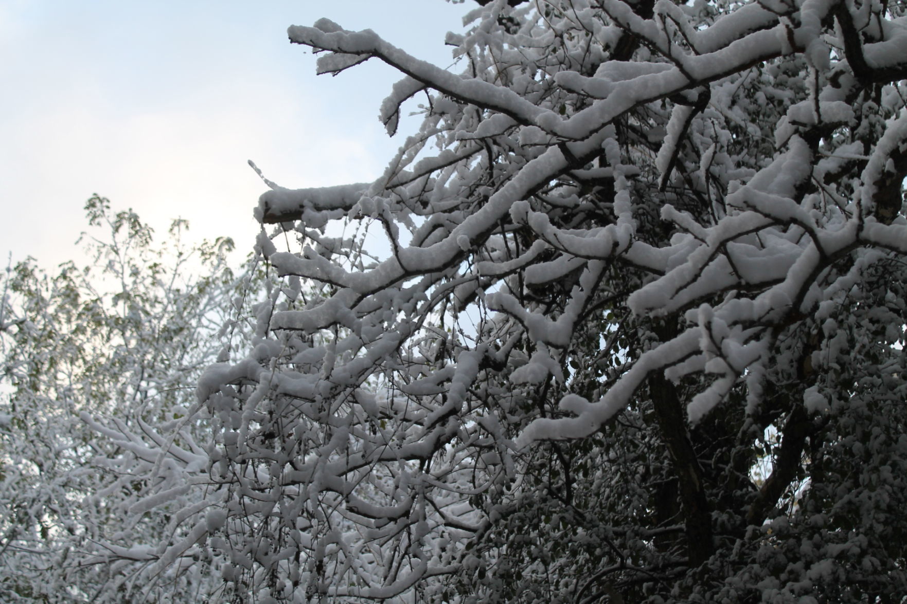 102919 snow 021.JPG